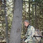 AR07-Wyoming Elk Hunt 006.jpg